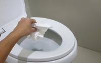 Ninguém entende por que o brasileiro não joga papel higiênico no vaso, mas foi revelada a verdade e vai além do que você pensa