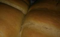 Pão simples