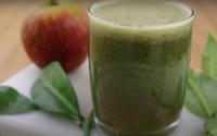 Com cálcio, com ferro, com proteínas: suco de ora-pro-nóbis é uma das bebidas mais saudáveis que você pode fazer em casa