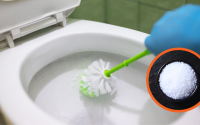Pouca gente sabe: é para isso que serve colocar sal grosso no vaso sanitário