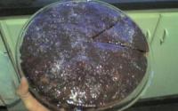 Bolo econômico de chocolate