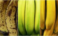 Banana madura, verde ou amarela: poucas pessoas sabem a diferença que isso faz no seu corpo (descubra benefícios!)