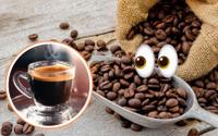 É o fim do café arábica? O que dizem estudos internacionais e quando a crise pode chegar à sua xícara