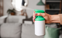 Nem canela, nem velas aromáticas: esse é o melhor truque para afastar o cheiro ruim da sua casa