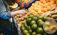 Comer esta fruta duas vezes ao dia é suficiente para suprir as nossas necessidades de vitamina C!