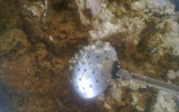 Galinhada mineira