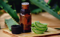 A planta mais anti-inflamatória para a cicatrização da pele, segundo dermatologistas