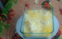 Filé de frango ao molho branco