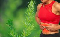 A planta que ajuda a regenerar as células pancreáticas e melhora o sistema digestivo
