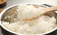 Você tem costume de requentar o arroz? Esse hábito pode trazer riscos para a sua saúde, mas é possível se manter seguro se fizer assim