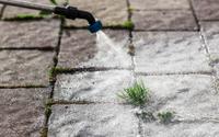 Nada de vinagre branco: esse produto de uso diário é o favorito dos jardineiros para acabar de vez com ervas daninhas sem esforço