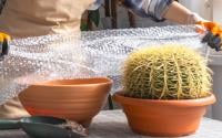 Poucos sabem, mas aprendi com um jardineiro experiente: o plástico bolha é um tesouro para o seu jardim!