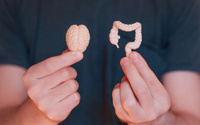 Probióticos e saúde mental: o intestino realmente é nosso “segundo cérebro”?