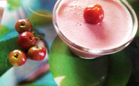 Gelado de frutas light