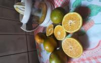 Suco de laranja tropical