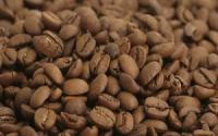 Pavê de café