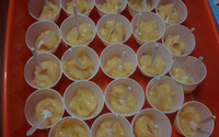 Cocada de colher