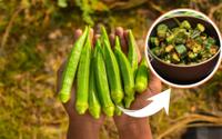 Da horta direto para a cozinha: plantar quiabo em casa é mais fácil do que você pensa!