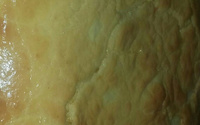 Torta econômica
