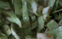Salada de repolho com gengibre
