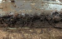 Brownie leve