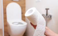 Pouca gente sabe: não use o papel higiênico para limpar o assento do vaso sanitário!