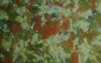 Quiche de legumes