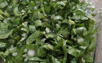Salada de almeirão italiana