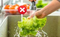 Não é só lavar em água corrente: aprenda de uma vez por todas como higienizar vegetais do jeito certo!