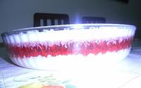 Gelatina Especial