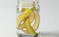 Se você tem cascas de banana, não as jogue fora: por que recomendam colocá-las em um pote com água