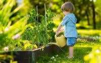 Esses são os melhores truques de jardineiros para evitar a queda prematura das folhas em suas plantas