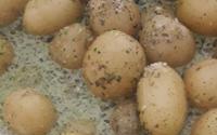 Salada de batatinha