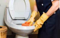 Os problemas de usar alvejante para limpar o vaso sanitário e descubra alternativas simples e econômicas para obter uma limpeza eficaz