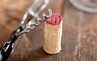 Você nunca mais vai jogar rolhas de vinho fora depois de descobrir o que elas fazem pelas suas planta