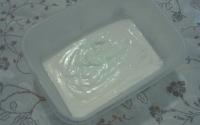 Maionese de leite light