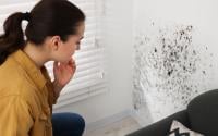 Mofo na parede? Esse simples erro pode estar causando o problema sem você perceber e não estamos falando de infiltração