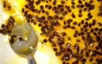 A mousse de maracujá