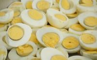 Será que você está comendo ovo demais todos os dias? Aqui está a quantidade certa para bater proteínas!
