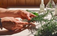 Ferver alecrim é a melhor dica caseira que aprendi com a minha avó: transforma o ambiente da sua casa