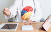 Sou psiquiatra nutricional de Harvard e garanto: "Existe uma vitamina essencial para manter nosso cérebro jovem e saudável"