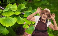 A vovó já falava dos benefícios dessa planta milenar e não é mito: entenda como o ginkgo biloba pode ajudar a sua saúde