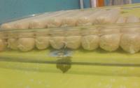 Gelinho de biscoito delícia