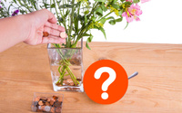 O que acontece quando você coloca uma moeda no fundo do vaso de flores?