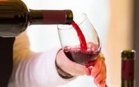 Vinhos brasileiros tem alta concentração de substância benéfica à saúde, segundo estudo: pode ajudar na saúde do coração e auxiliar no emagrecimento