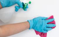 Nem detergente, nem tinta: é assim que tira manchas da parede com um item que você tem em casa