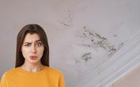 Adeus umidade no teto: 4 soluções simples para eliminar o problema no seu banheiro