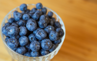 Plantar blueberry sai muito mais barato que comprar no mercado: aprenda a como cultivar essa fruta de forma simples