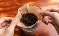 5 utilidades da borra de café na sua casa que você nunca pensou que poderia ser útil!