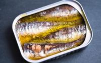 Nem sardinha, nem atum: esse peixe enlatado é um tesouro repleto de benefícios